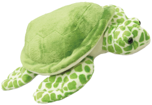 A green sea turtle stuffed animal