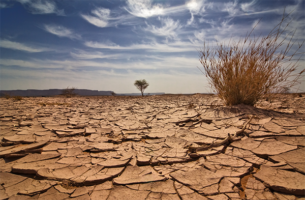 Dry, hot desert