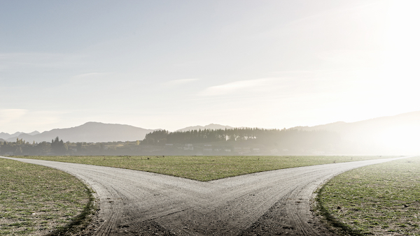 A road splitting into two roads going in different directions