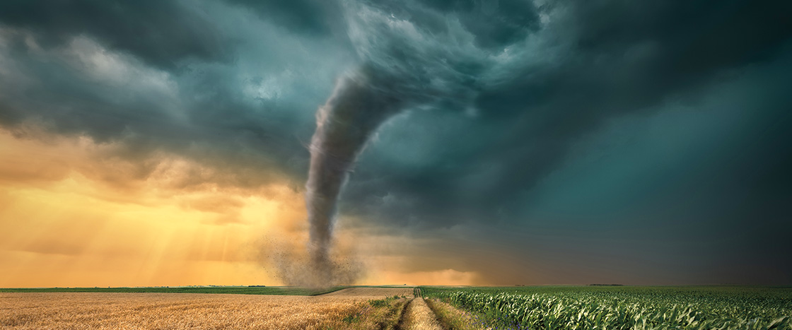 Image of a tornado over crops