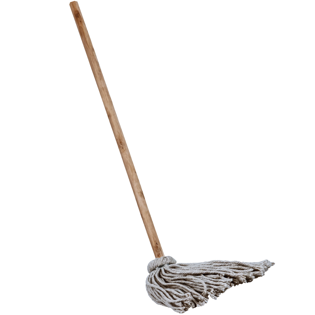 Image of a mop