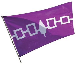 Image of a purple flag