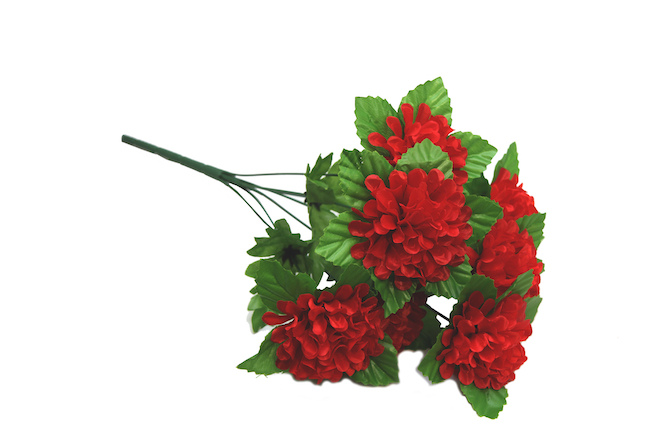 Image of red flowers