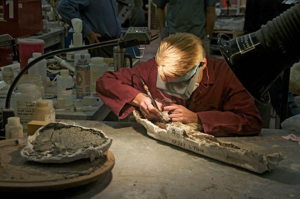 a scientist cleaning a dinosaur bone