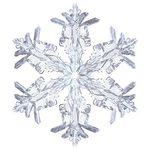 A snowflake