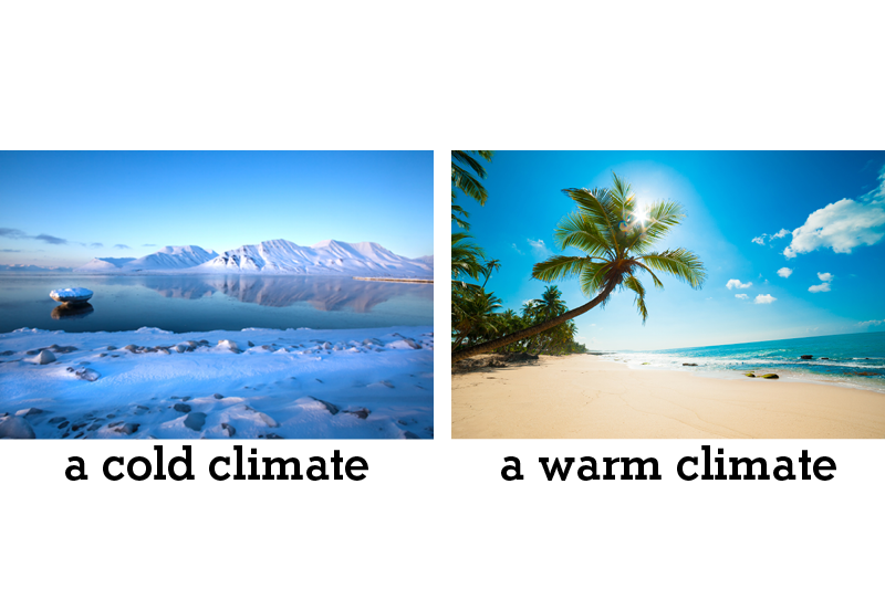 Contrasting photos of icy waters with glaciers and a beach with palm trees and a bright sun above it